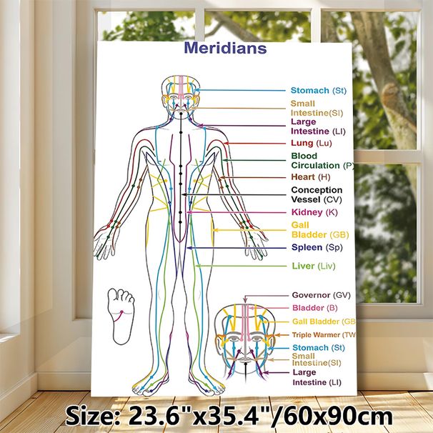 Meridian Chart Painting Poster, Clear Color-coded Human Meridian Map Poster, Informative Reference For Traditional Chinese Medicine Learning, Suitable_maomaolike.com