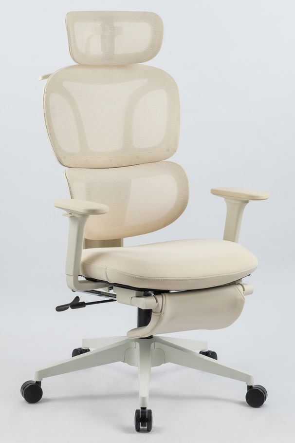 Ergonomic Office Chair With Footrest, High Back Computer Office Chair With Dynamic Lumbar Support, 2D Headrest, 2D Armrest, Sponge Seat, Mesh Home Office Desk Chair For Adults, CREAM_maomaolike.com