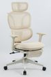 Ergonomic Office Chair With Footrest, High Back Computer Office Chair With Dynamic Lumbar Support, 2D Headrest, 2D Armrest, Sponge Seat, Mesh Home Office Desk Chair For Adults, CREAM_maomaolike.com