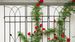 4 Pack Metal Garden Trellis 71" X 17.7" Rustproof Trellis For Climbing Plants Outdoor Flower Support_maomaolike.com