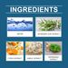 Yegbong Indoor Cat Repellent Spray Pet Repellent To Keep Cats Out Of Bed Indoor Cat Repellent Spray_maomaolike.com
