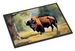 American Bison Doormat Front Door Mat Indoor Outdoor Rugs For Entryway, Non Slip Washable Low Pile, 24H X 36W_maomaolike.com