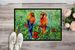 Fred And Freda Parrots Doormat Front Door Mat Indoor Outdoor Rugs For Entryway, Non Slip Washable Low Pile, 24H X 36W_maomaolike.com