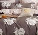 Marrisa Brown Floral 100% Cotton Comforter Set_maomaolike.com