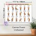 Seniors' Resistance Band Workout Painting Poster, Clear Cartoon-style Exercise Guide Poster, Detailed Gentle Fitness Instructions, Suitable For Home_maomaolike.com