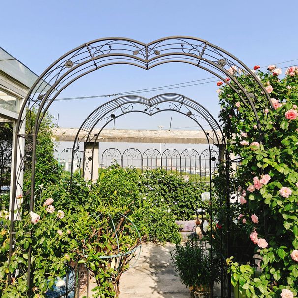 Metal Garden Arch Garden Arbor Trellis Climbing Plants Support Rose Arch Black_maomaolike.com