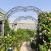 Metal Garden Arch Garden Arbor Trellis Climbing Plants Support Rose Arch Black_maomaolike.com