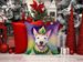 English Bull Terrier King Of Mardi Gras Throw Pillow Machine Washable, Indoor Outdoor Decorative Pillow For Couch, Bed Or Patio, 18Hx18W_maomaolike.com