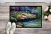 Alligator Doormat Front Door Mat Indoor Outdoor Rugs For Entryway, Non Slip Washable Low Pile, 24H X 36W_maomaolike.com