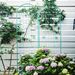 4 Pack Metal Garden Trellis 86.7" X 19.7" Rustproof Trellis For Climbing Plants Outdoor Flower Support Green_maomaolike.com