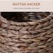 PawHut Handwoven Elevated Cat Bed With Soft Cushion & Cat Egg Chair Shape, Cat Basket Bed Kitty House With Stand, Raised Wicker Cat Bed For Indoor Cats, 23.5" H, Gray_maomaolike.com