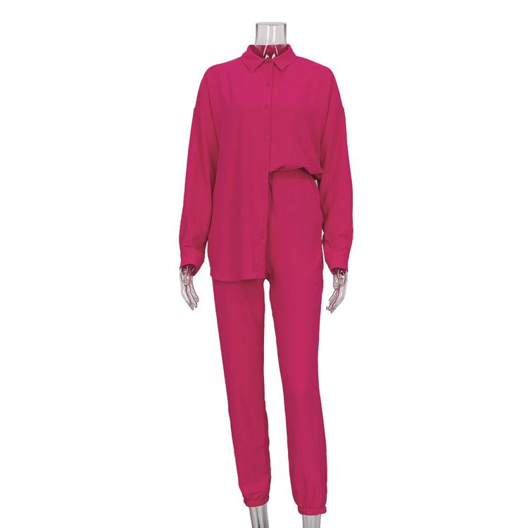 Women's Clothing new casual suit solid color lapel long-sleeved shirt top harem pants two-piece suit_maomaolike.com