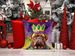 Dogue De Bordeaux King Of Mardi Gras Throw Pillow Machine Washable, Indoor Outdoor Decorative Pillow For Couch, Bed Or Patio, 14Hx14W_maomaolike.com