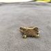 Alloy Fortune Elephant Figurine Incense Holder Money Turtle Home Office Desktop French Bulldog Toad Craft_maomaolike.com