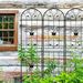 4 Pack Metal Garden Trellis 86.7" X 19.7" Rustproof Trellis For Climbing Plants Outdoor Flower Support Black_maomaolike.com