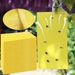 20-400Pcs Stickers Double Sided Flying Insect Catcher Fly Trap Insects Glue Sticky Board For Greenhouse Home Garden_maomaolike.com