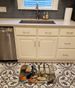 Weimaraner Fall Kitchen Pumpkins Memory Foam Kitchen Mat Machine Washable Anti-Fatigue Mat Cushion Comfort Bath Mat Or Kitchen Rug_maomaolike.com