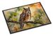 Long-Eared Owl Doormat Front Door Mat Indoor Outdoor Rugs For Entryway, Non Slip Washable Low Pile, 24H X 36W_maomaolike.com