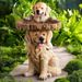 Tree Stump Resin Garden Bird Feeder Design Decoration Dog Pet Ornament_maomaolike.com