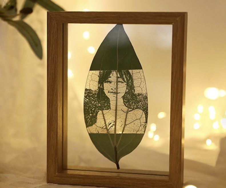 Creative Carving Double-Sided Glass Transparent Photo Wholesale Plant Leaf Specimen Hollow Frame Wooden Display Stand_maomaolike.com