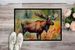 Moose Doormat Front Door Mat Indoor Outdoor Rugs For Entryway, Non Slip Washable Low Pile, 24H X 36W_maomaolike.com