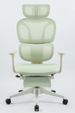 Ergonomic Office Chair With Footrest, High Back Computer Office Chair With Dynamic Lumbar Support, 2D Headrest, 2D Armrest, Sponge Seat, Mesh Home Office Desk Chair For Adults, GREEN_maomaolike.com