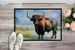 American Bison Doormat Front Door Mat Indoor Outdoor Rugs For Entryway, Non Slip Washable Low Pile, 24H X 36W_maomaolike.com