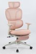 Ergonomic Office Chair With Footrest, High Back Computer Office Chair With Dynamic Lumbar Support, 2D Headrest, 2D Armrest, Sponge Seat, Mesh Home Office Desk Chair For Adults, Pink_maomaolike.com