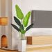 Cross-Border Traveler Banana Arificial Poed Living Room Fake Green Bionic Plan Decoraion Indoor Large Floor_maomaolike.com