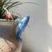 Compact Resin Whale Figurine Statue, Decorative Craft Suitable For Living Room Tabletop And Household Layout Decor
_maomaolike.com