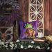 Vizsla King Of Mardi Gras Throw Pillow Machine Washable, Indoor Outdoor Decorative Pillow For Couch, Bed Or Patio, 18Hx18W_maomaolike.com