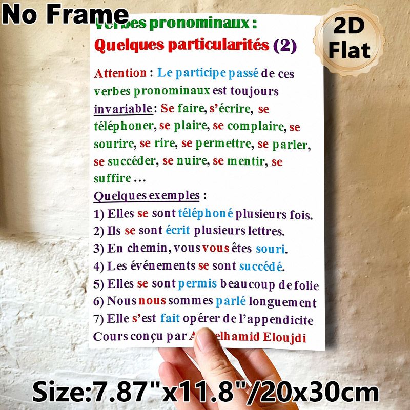 French Pronominal Verbs Painting Poster, Color-coded Educational Text Poster, Clear French Grammar Learning Guide, Suitable For Language Classrooms_maomaolike.com