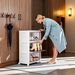 Stackable Shoe Storage Rack, Plastic Cabinet With Clear Doors For Home Use_maomaolike.com