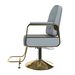Hydraulic Salon Chair 360 Swivel - Professional Barber Stylist Chair With Pump Non-Tilting Hairdressing Chair For Salon Tattoo Spa Blue Gold Stylist Equipment Single Pack_maomaolike.com
