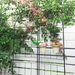 2 Pack Metal Garden Trellis 78.7" X 19.7" Rustproof Trellis For Climbing Plants Outdoor Flower Support Black_maomaolike.com