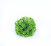 Cross-Border Exclusive Artificial Milan Green Plant Decoration Peanut Grass Ball Plastic Fake Flower Opening Scene_maomaolike.com