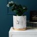 European Style Cement Flower Pot Ceramic Gold Water Transfer Simple Artistic Personality Top-sale With Tray For Radish And Green Pla_maomaolike.com