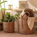 Nordic Light Luxury Rattan Woven Floor Basket Qixi Festival Internet Celebrity Bear Version Hug Bucket Living Room_maomaolike.com