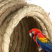 Straw Weaving Parrots, Lovebirds, Budgerigars, Pearl Finches, Bird Nest Breeding Box, Durable And Warm For Winter,_maomaolike.com