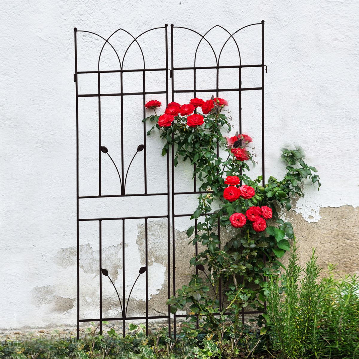 4 Pack Metal Garden Trellis 71" X 17.7" Rustproof Trellis For Climbing Plants Outdoor Flower Support Black_maomaolike.com