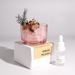 Aromatherapy Stone Flameless Essential Oil Diffuser Home Bedroom Incense Fragrance Crystal Ornament Niche Dried Flower Gift Dropsh_maomaolike.com