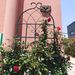 4 Pack Metal Garden Trellis 86.7" X 19.7" Rustproof Trellis For Climbing Plants Outdoor Flower Support Black_maomaolike.com