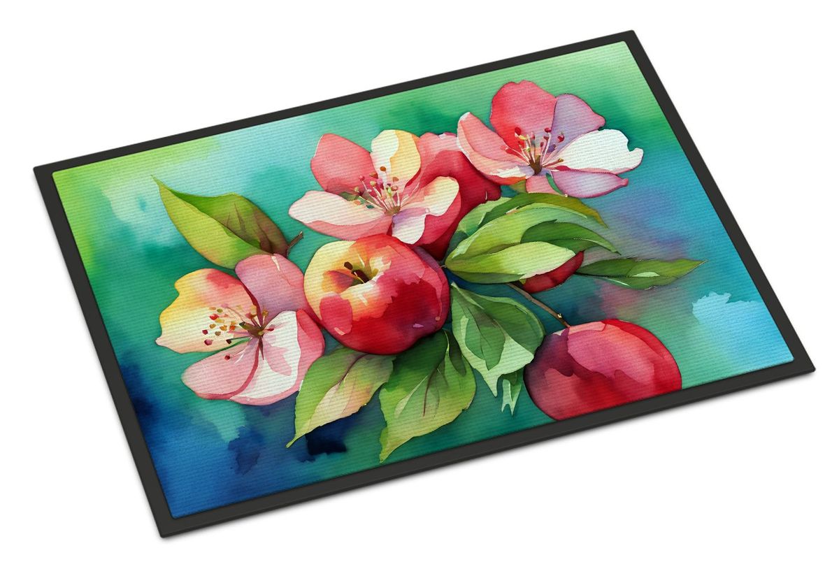 Arkansas Blossom In Watercolor Doormat Front Door Mat Indoor Outdoor Rugs For Entryway, Non Slip Washable Low Pile, 24H X 36W_maomaolike.com