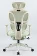 Ergonomic Office Chair With Footrest, High Back Computer Office Chair With Dynamic Lumbar Support, 2D Headrest, 2D Armrest, Sponge Seat, Mesh Home Office Desk Chair For Adults, GREEN_maomaolike.com