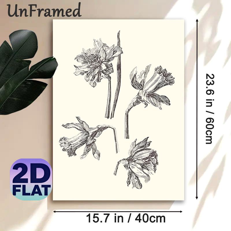 Daffodil Botanical Painting Poster, Monochrome Hand-drawn Sketch Poster, Delicate Detailed Floral Artwork, Ideal For Living Room, Bedroom & Office_maomaolike.com