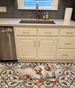 Norfolk Terrier The Chef Memory Foam Kitchen Mat Machine Washable Anti-Fatigue Mat Cushion Comfort Bath Mat Or Kitchen Rug_maomaolike.com