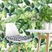Green Botanical Peel & Stick Walll Decorlpaper – Tropical Leaf Design, Waterproof, Removable, Easy DIY Wall Decor_maomaolike.com