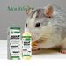 MoonSpry Minty Rat Repellent, Home And Outdoor Rat Repellent, Car Repellent_maomaolike.com