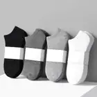 Ankle Socks_maomaolike