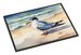 Tern Resting Doormat Front Door Mat Indoor Outdoor Rugs For Entryway, Non Slip Washable Low Pile, 24H X 36W_maomaolike.com